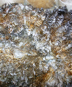 Fleece - 13038