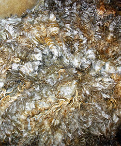 Fleece - 916