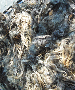 Fleece - Mike 459