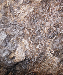 Fleece - 1445