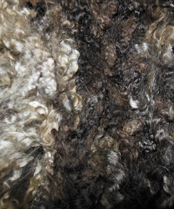 Fleeces