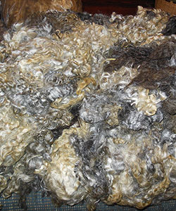Fleece - 1714